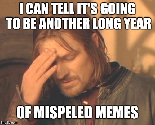 Not even a week into 2019 | I CAN TELL IT'S GOING TO BE ANOTHER LONG YEAR; OF MISPELED MEMES | image tagged in memes,frustrated boromir,2019,funny,grammar,misspelled | made w/ Imgflip meme maker