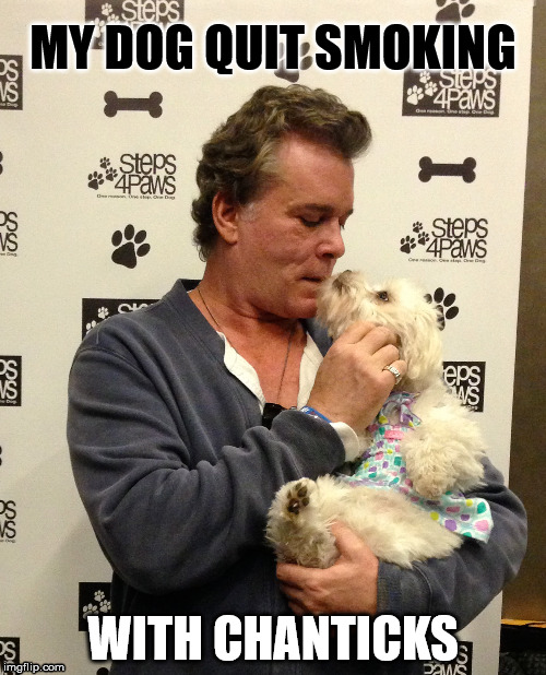 MY DOG QUIT SMOKING; WITH CHANTICKS | image tagged in ray liotta | made w/ Imgflip meme maker