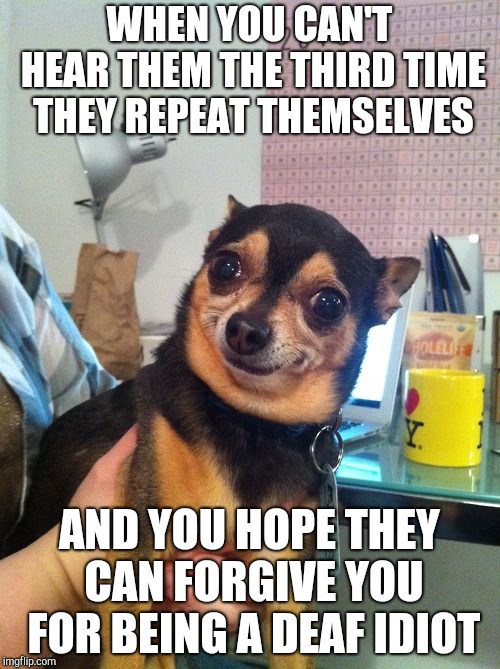 Chihuahua  | WHEN YOU CAN'T HEAR THEM THE THIRD TIME THEY REPEAT THEMSELVES; AND YOU HOPE THEY CAN FORGIVE YOU FOR BEING A DEAF IDIOT | image tagged in chihuahua,memes | made w/ Imgflip meme maker