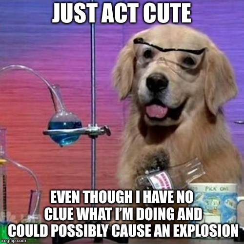 I Have No Idea What I Am Doing Dog | JUST ACT CUTE; EVEN THOUGH I HAVE NO CLUE WHAT I’M DOING AND COULD POSSIBLY CAUSE AN EXPLOSION | image tagged in memes,i have no idea what i am doing dog | made w/ Imgflip meme maker