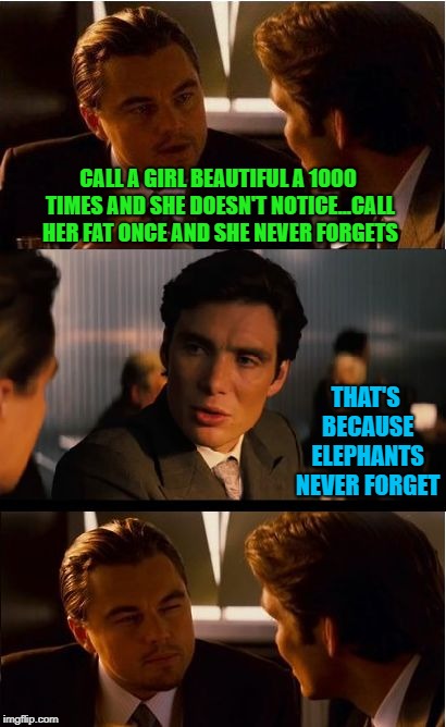 For the record, there's nothing wrong with a thick girl...just don't be callin' her thick!!! | CALL A GIRL BEAUTIFUL A 1000 TIMES AND SHE DOESN'T NOTICE...CALL HER FAT ONCE AND SHE NEVER FORGETS; THAT'S BECAUSE ELEPHANTS NEVER FORGET | image tagged in memes,inception,compliments,funny,insults,regret | made w/ Imgflip meme maker