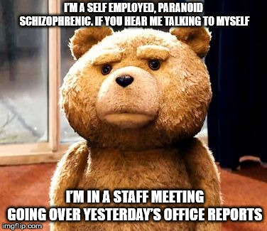 TED | I’M A SELF EMPLOYED, PARANOID SCHIZOPHRENIC. IF YOU HEAR ME TALKING TO MYSELF; I’M IN A STAFF MEETING GOING OVER YESTERDAY’S OFFICE REPORTS | image tagged in memes,ted | made w/ Imgflip meme maker