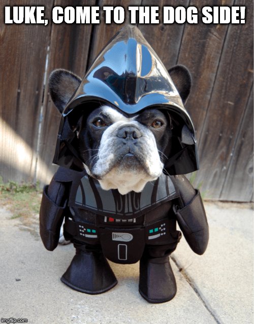 Too Cute! | LUKE, COME TO THE DOG SIDE! | image tagged in dog,darth vader - come to the dark side,darth vader,star wars,cute puppies,cute | made w/ Imgflip meme maker