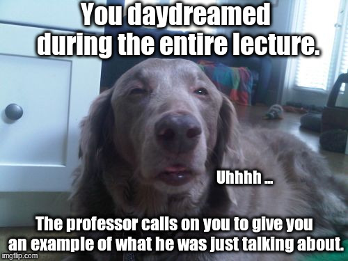 Confucius say: Man who stand on toilet is high in pot. | You daydreamed during the entire lecture. Uhhhh ... The professor calls on you to give you an example of what he was just talking about. | image tagged in memes,high dog,first world stoner problems,lazy college senior | made w/ Imgflip meme maker