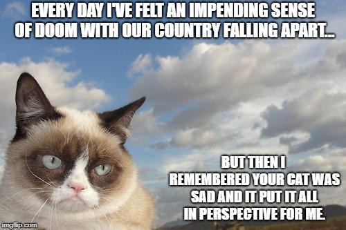 Grumpy Cat Sky | EVERY DAY I'VE FELT AN IMPENDING SENSE OF DOOM WITH OUR COUNTRY FALLING APART... BUT THEN I REMEMBERED YOUR CAT WAS SAD AND IT PUT IT ALL IN PERSPECTIVE FOR ME. | image tagged in memes,grumpy cat sky,grumpy cat | made w/ Imgflip meme maker