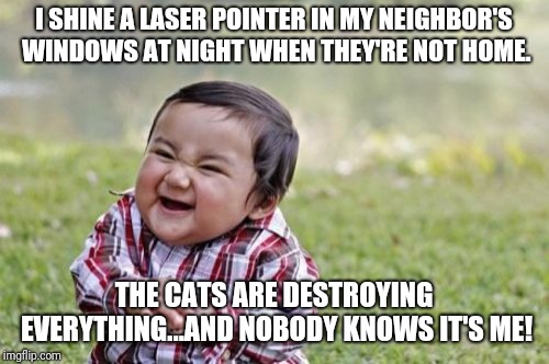 Evil Toddler | I SHINE A LASER POINTER IN MY NEIGHBOR'S WINDOWS AT NIGHT WHEN THEY'RE NOT HOME. THE CATS ARE DESTROYING EVERYTHING...AND NOBODY KNOWS IT'S ME! | image tagged in memes,evil toddler,funny,funny memes | made w/ Imgflip meme maker