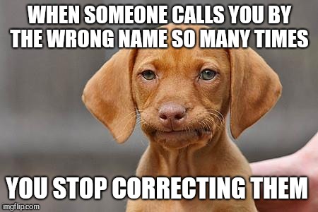 Dissapointed puppy | WHEN SOMEONE CALLS YOU BY THE WRONG NAME SO MANY TIMES; YOU STOP CORRECTING THEM | image tagged in dissapointed puppy | made w/ Imgflip meme maker