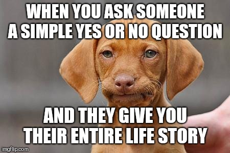 Dissapointed puppy | WHEN YOU ASK SOMEONE A SIMPLE YES OR NO QUESTION; AND THEY GIVE YOU THEIR ENTIRE LIFE STORY | image tagged in dissapointed puppy | made w/ Imgflip meme maker