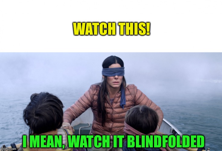 Bird Box | WATCH THIS! I MEAN, WATCH IT BLINDFOLDED | image tagged in bird box | made w/ Imgflip meme maker