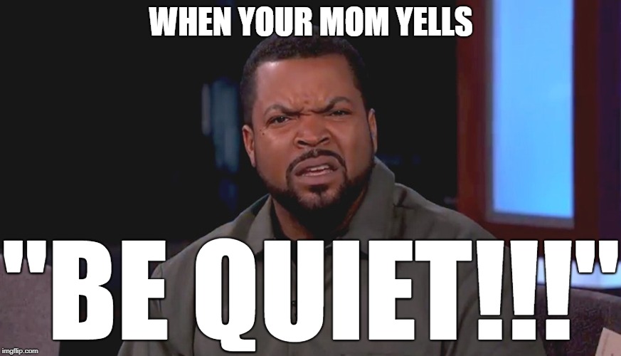 She confuses me to no end, I tell you | WHEN YOUR MOM YELLS; "BE QUIET!!!" | image tagged in really ice cube,memes,confused,confusion | made w/ Imgflip meme maker
