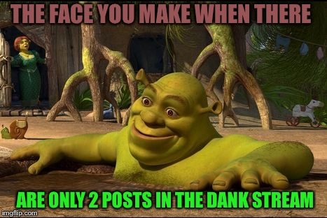 shrek | THE FACE YOU MAKE WHEN THERE; ARE ONLY 2 POSTS IN THE DANK STREAM | image tagged in shrek | made w/ Imgflip meme maker