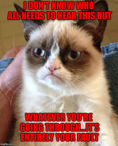 That's grumpy cat for ya!!! | I DON'T KNOW WHO ALL NEEDS TO HEAR THIS BUT; WHATEVER YOU'RE GOING THROUGH...IT'S ENTIRELY YOUR FAULT | image tagged in memes,grumpy cat,fault,funny,blame,cats | made w/ Imgflip meme maker
