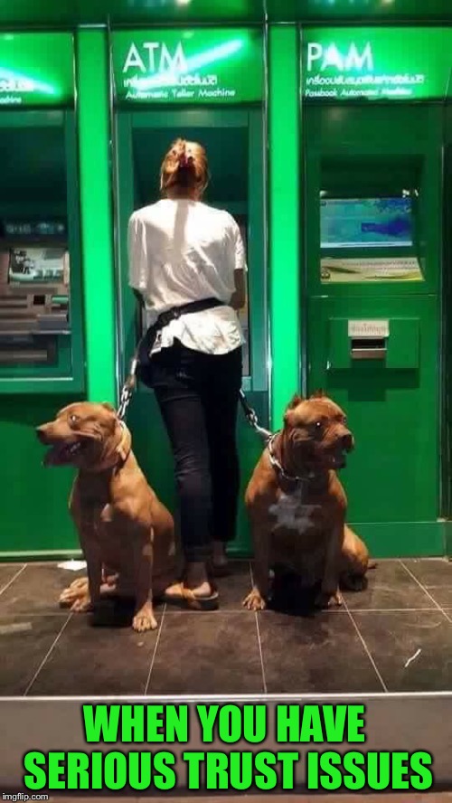 At least no one is looking over her shoulder | WHEN YOU HAVE SERIOUS TRUST ISSUES | image tagged in atm,bank,pitbulls,trust issues,guard,dogs | made w/ Imgflip meme maker
