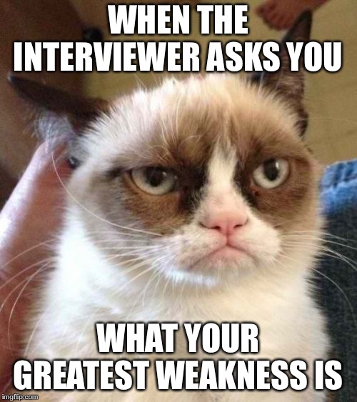 Grumpy Cat Reverse Meme | WHEN THE INTERVIEWER ASKS YOU; WHAT YOUR GREATEST WEAKNESS IS | image tagged in memes,grumpy cat reverse,grumpy cat | made w/ Imgflip meme maker