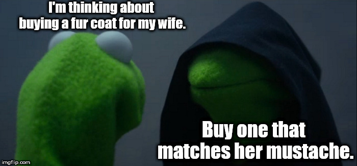 "Does this make me look fat?" | I'm thinking about buying a fur coat for my wife. Buy one that matches her mustache. | image tagged in memes,evil kermit | made w/ Imgflip meme maker