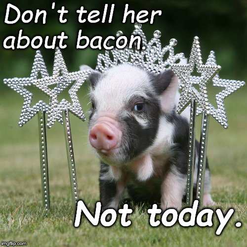 Happy birthday, Princess. | Don't tell her       about bacon. Not today. | image tagged in happy birthday,princess,expectation vs reality,illusions,illusion of control,douglie | made w/ Imgflip meme maker