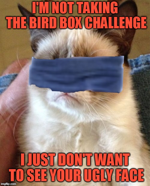 Love is Blind. Hate is Blinded.  (ง︡'-'︠)ง ¯_(ツ)_/¯ | I'M NOT TAKING THE BIRD BOX CHALLENGE; I JUST DON'T WANT TO SEE YOUR UGLY FACE | image tagged in memes,grumpy cat,movie,bird box,challenge,grumpy cat insults | made w/ Imgflip meme maker