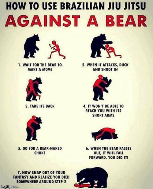Maybe try Karate on the bear? | image tagged in memes,martial arts,jiu jitsu,bear,fighting,funny | made w/ Imgflip meme maker