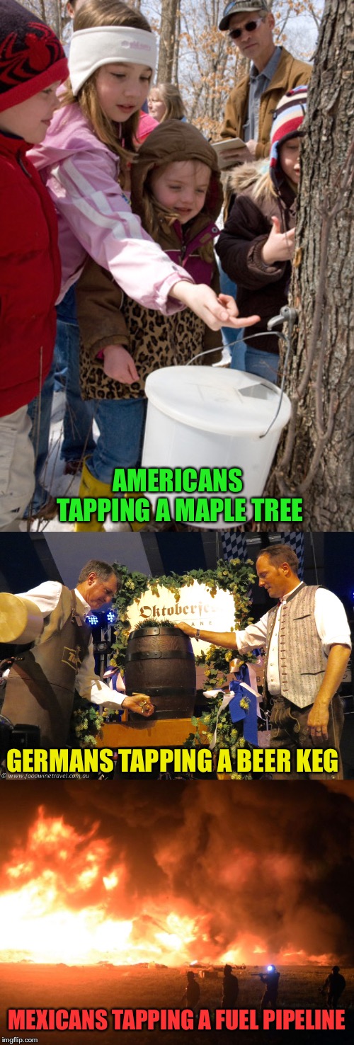A growing problem apparently. | AMERICANS TAPPING A MAPLE TREE; GERMANS TAPPING A BEER KEG; MEXICANS TAPPING A FUEL PIPELINE | image tagged in maple syrup,beer,pipeline,memes,funny | made w/ Imgflip meme maker