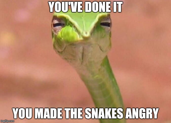 YOU'VE DONE IT YOU MADE THE SNAKES ANGRY | image tagged in skeptical snake | made w/ Imgflip meme maker