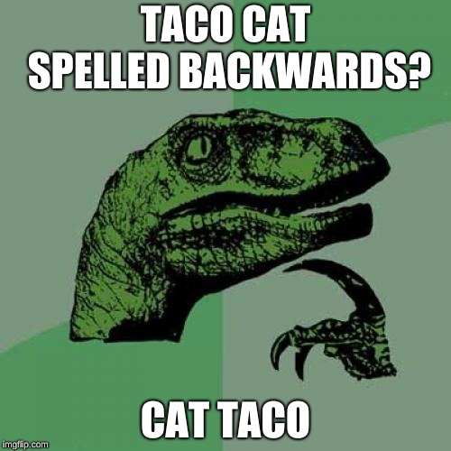 Philosoraptor | TACO CAT SPELLED BACKWARDS? CAT TACO | image tagged in memes,philosoraptor | made w/ Imgflip meme maker
