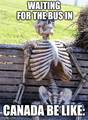 Waiting Skeleton | WAITING FOR THE BUS IN; CANADA BE LIKE: | image tagged in memes,waiting skeleton | made w/ Imgflip meme maker
