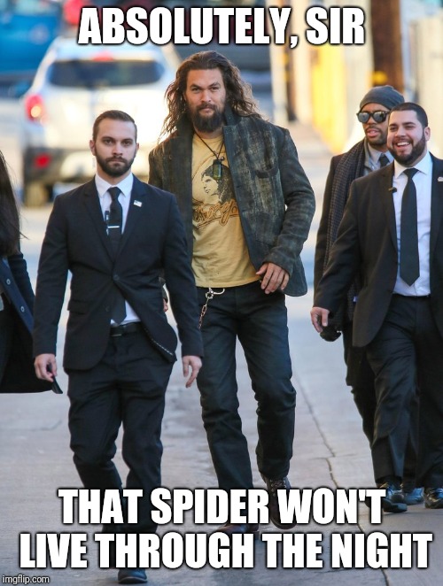 Jason Momoa Bodyguards | ABSOLUTELY, SIR THAT SPIDER WON'T LIVE THROUGH THE NIGHT | image tagged in jason momoa bodyguards | made w/ Imgflip meme maker