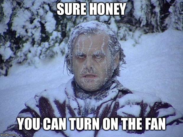 Jack Nicholson The Shining Snow Meme | SURE HONEY; YOU CAN TURN ON THE FAN | image tagged in memes,jack nicholson the shining snow | made w/ Imgflip meme maker