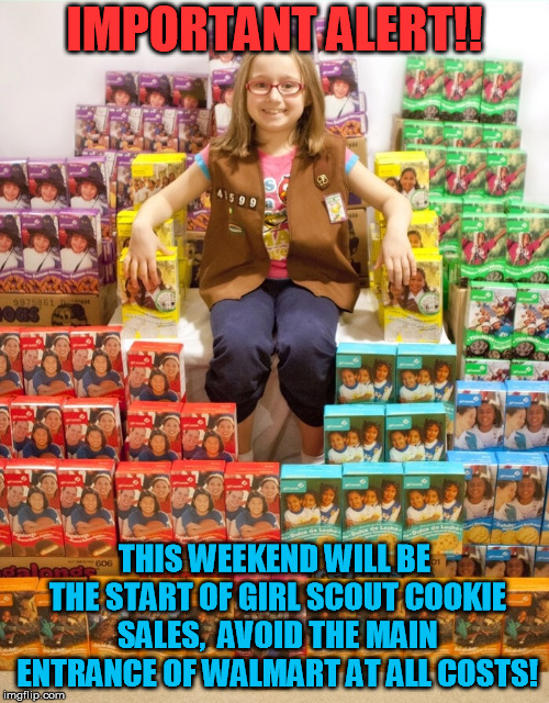 IMPORTANT ALERT!! THIS WEEKEND WILL BE THE START OF GIRL SCOUT COOKIE SALES,  AVOID THE MAIN ENTRANCE OF WALMART AT ALL COSTS! | image tagged in girl scout cookies | made w/ Imgflip meme maker