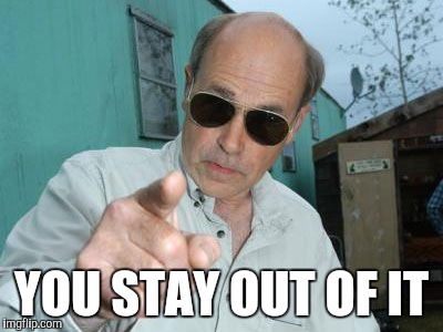 Trailer Park Boys - Jim Lahey | YOU STAY OUT OF IT | image tagged in trailer park boys - jim lahey | made w/ Imgflip meme maker