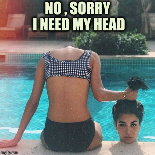 What a silly question | NO , SORRY I NEED MY HEAD | image tagged in innuendo,double meaning,and at this point i am to afraid to ask,illusion | made w/ Imgflip meme maker
