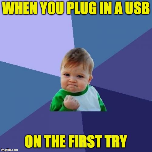 Now THAT'S success! | WHEN YOU PLUG IN A USB; ON THE FIRST TRY | image tagged in memes,success kid,funny,usb,pull the plug 1,imgflip | made w/ Imgflip meme maker