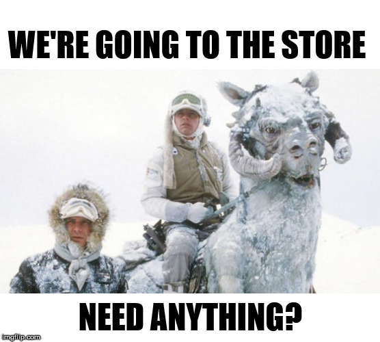 It feels like we are living on Hoth. | WE'RE GOING TO THE STORE; NEED ANYTHING? | image tagged in tauntaun | made w/ Imgflip meme maker