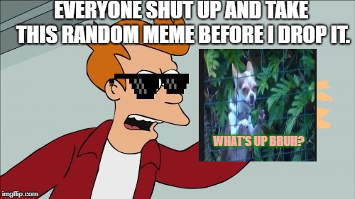 its random. but i hope its funny. | EVERYONE SHUT UP AND TAKE THIS RANDOM MEME BEFORE I DROP IT. WHAT'S UP BRUH? | image tagged in memes,shut up and take my money fry | made w/ Imgflip meme maker