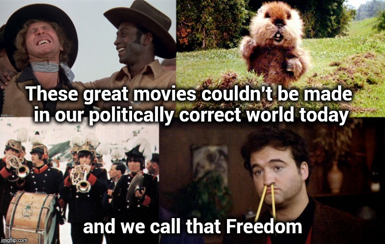 As comedy gets dumb and dumber | These great movies couldn't be made in our politically correct world today; and we call that Freedom | image tagged in classic movies,just plain comedy,political correctness,censorship,offensive | made w/ Imgflip meme maker