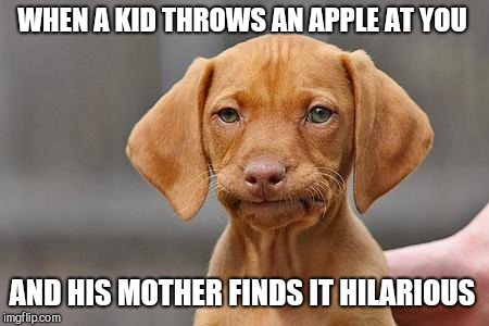 Dissapointed puppy | WHEN A KID THROWS AN APPLE AT YOU; AND HIS MOTHER FINDS IT HILARIOUS | image tagged in dissapointed puppy | made w/ Imgflip meme maker