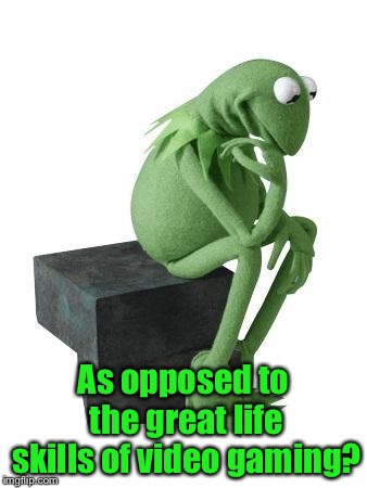 Philosophy Kermit | As opposed to the great life skills of video gaming? | image tagged in philosophy kermit | made w/ Imgflip meme maker