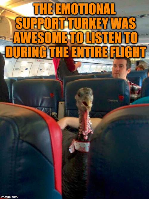 Sarcasm is my game.  | THE EMOTIONAL SUPPORT TURKEY WAS AWESOME TO LISTEN TO DURING THE ENTIRE FLIGHT | image tagged in meme,flight,turkey,irritated,frustrated,emotional | made w/ Imgflip meme maker