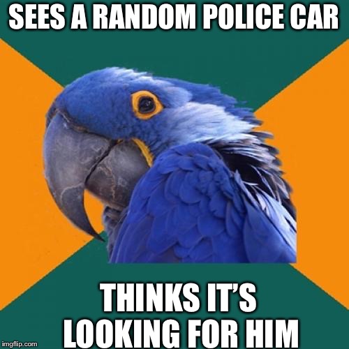 Paranoid Parrot | SEES A RANDOM POLICE CAR; THINKS IT’S LOOKING FOR HIM | image tagged in memes,paranoid parrot | made w/ Imgflip meme maker