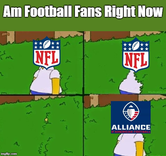 Homer Simpson Bush Reverse | Am Football Fans Right Now | image tagged in homer simpson bush reverse | made w/ Imgflip meme maker