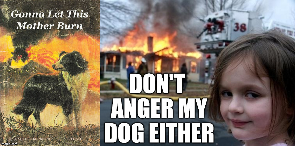 They like to set fires when angry. | DON'T ANGER MY DOG EITHER | image tagged in evil girl fire,fire and fury,pyro,angry dog,dark humor,firefighter | made w/ Imgflip meme maker