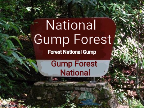 Week Gump Forrest Run  | National Gump Forest; Forest National Gump; Gump Forest National | image tagged in memes,forrest gump week,forrest gump,flarp,forest gump | made w/ Imgflip meme maker