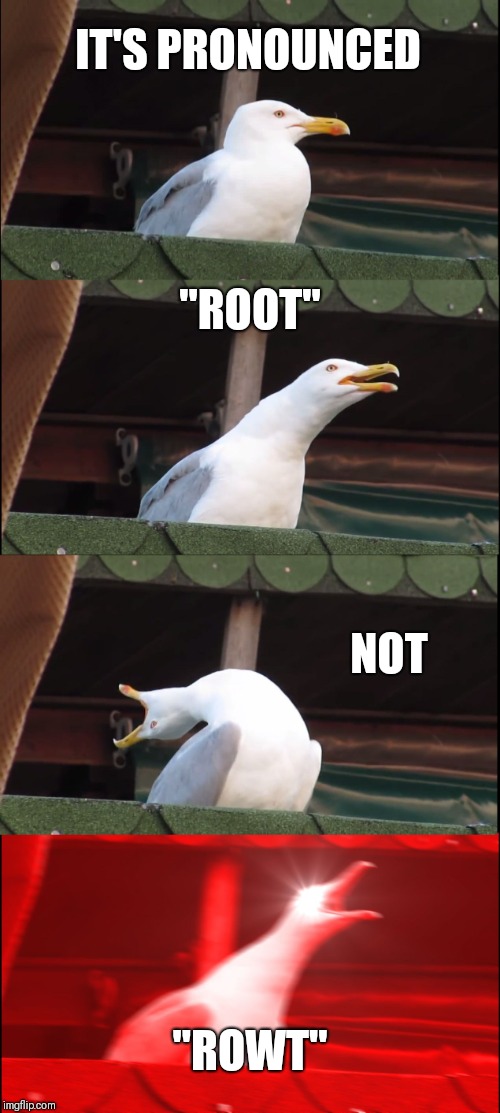 C'mon people | IT'S PRONOUNCED; "ROOT"; NOT; "ROWT" | image tagged in memes,inhaling seagull,pronunciation | made w/ Imgflip meme maker