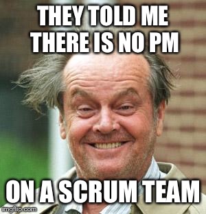 Jack Nicholson Crazy Hair | THEY TOLD ME THERE IS NO PM; ON A SCRUM TEAM | image tagged in jack nicholson crazy hair | made w/ Imgflip meme maker