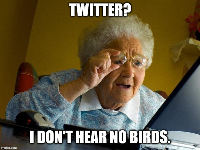 Grandma Finds The Internet | TWITTER? I DON'T HEAR NO BIRDS. | image tagged in memes,grandma finds the internet | made w/ Imgflip meme maker