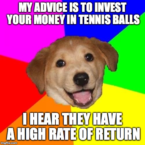 Sticks are also a good investment. | MY ADVICE IS TO INVEST YOUR MONEY IN TENNIS BALLS; I HEAR THEY HAVE A HIGH RATE OF RETURN | image tagged in memes,advice dog,funny,memelord334,always upvotes,funny dog memes | made w/ Imgflip meme maker