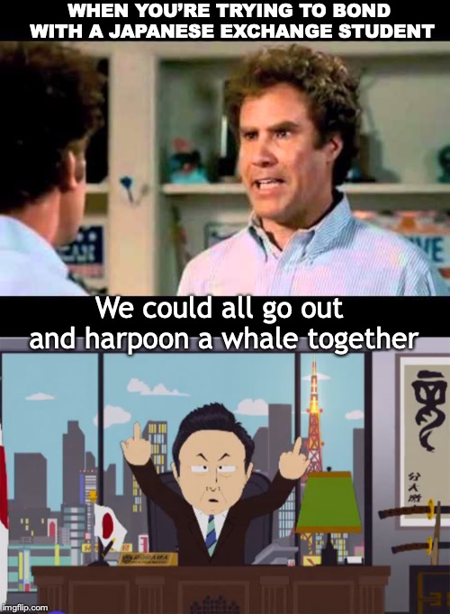 WHEN YOU’RE TRYING TO BOND WITH A JAPANESE EXCHANGE STUDENT; We could all go out and harpoon a whale together | image tagged in did we just become best friends mustang,south park,whales | made w/ Imgflip meme maker