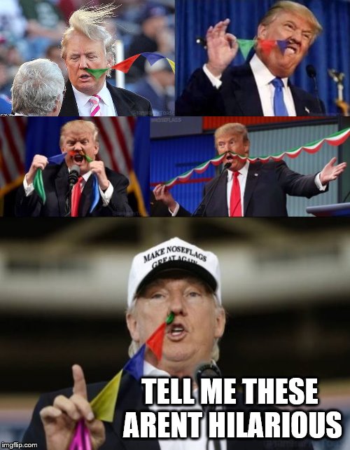 Trump Nose Flags! Funny no matter what side ur on! | TELL ME THESE ARENT HILARIOUS | image tagged in trump,nose,flags,magic,claybourne,funny | made w/ Imgflip meme maker