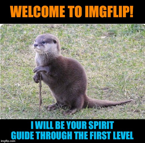 You otter follow him | WELCOME TO IMGFLIP! I WILL BE YOUR SPIRIT GUIDE THROUGH THE FIRST LEVEL | image tagged in imgflip,meme,spirit animal,otter,funny animals | made w/ Imgflip meme maker