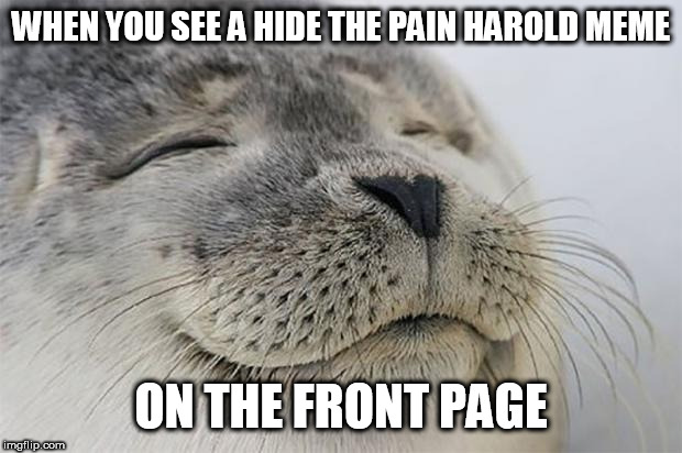 Is it me or has there been a lot of those making the front page for the past while? | WHEN YOU SEE A HIDE THE PAIN HAROLD MEME; ON THE FRONT PAGE | image tagged in memes,satisfied seal,hide the pain harold,imgflip | made w/ Imgflip meme maker